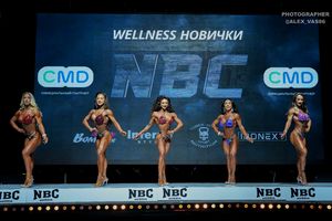 WELLNESS НОВИЧКИ